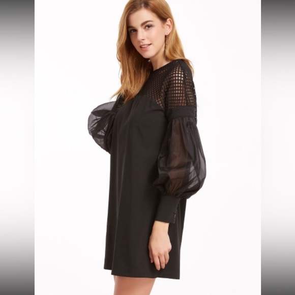 Black Eyelet Mesh Shoulder W/Sheer Sleeves Dress - Picture 5 of 8